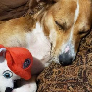 Meet your Posher, Emanuel